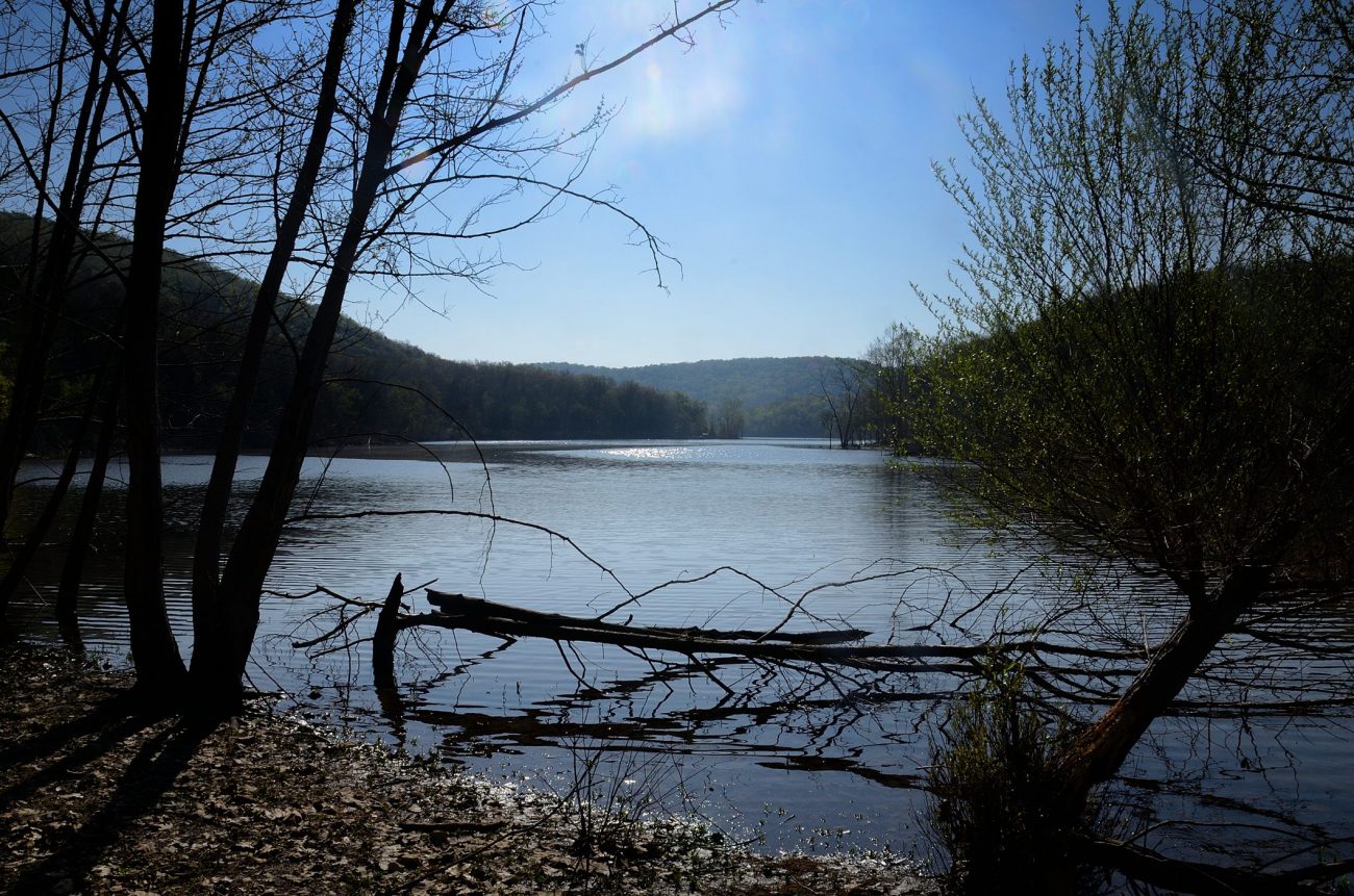 Sunshine on Table Rock Lake, seen from Piney Creek Wilderness