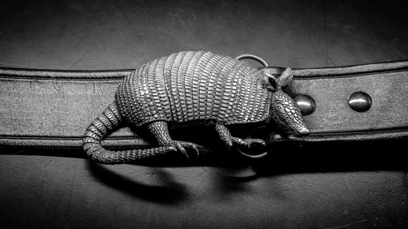 Photograph of an armadillo Belt Buckle