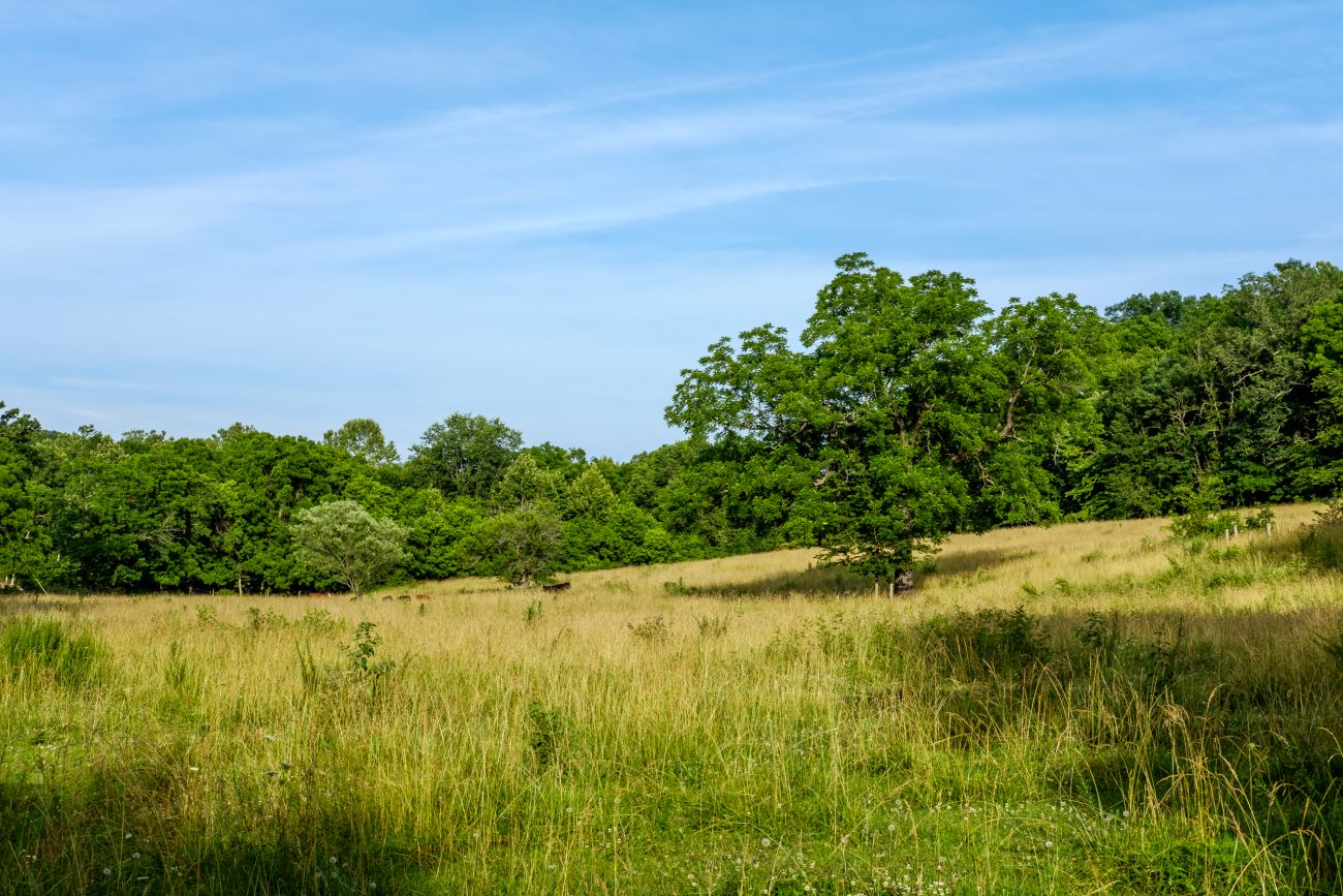 Photograph of an Ozarks farm field