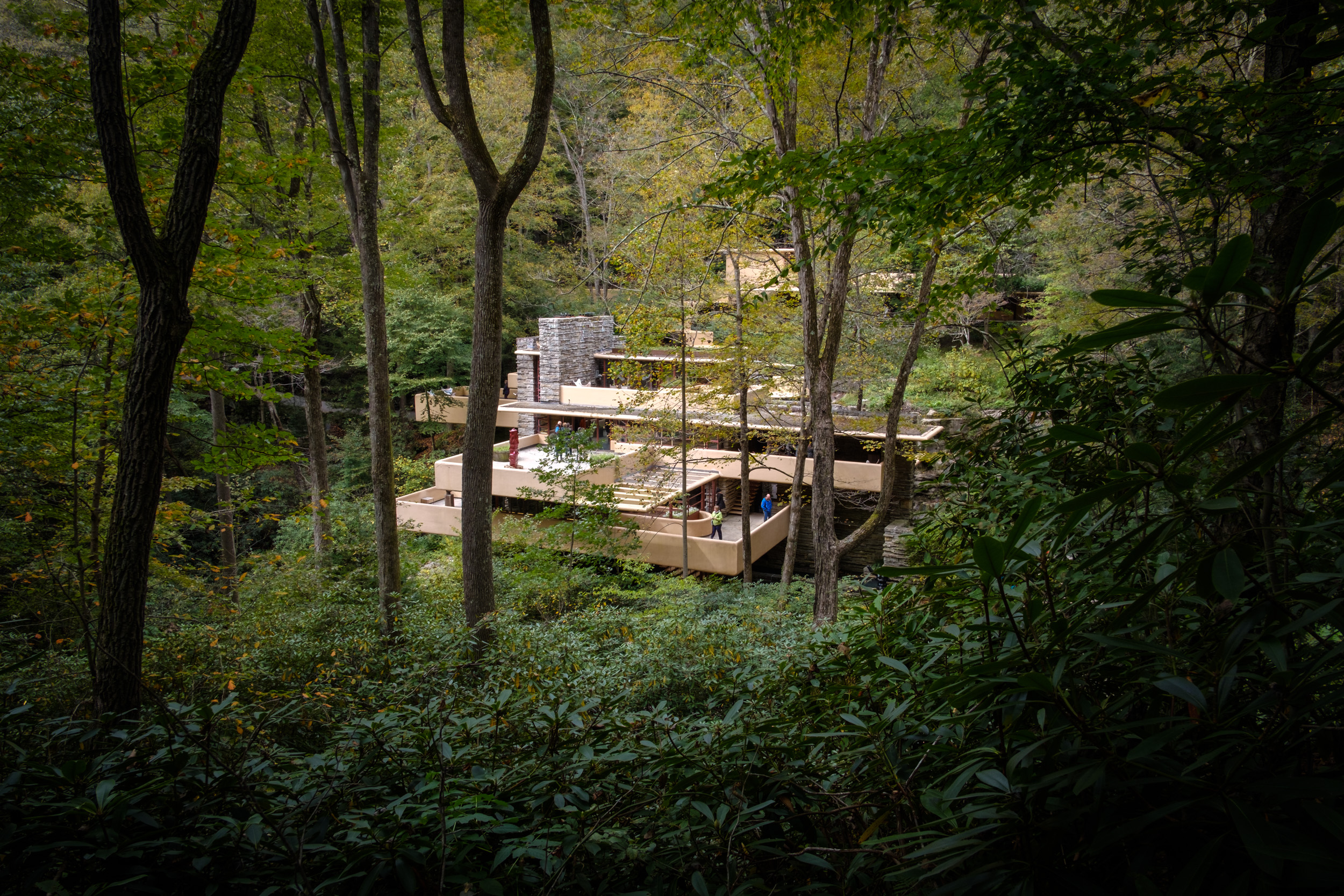 Fallingwater -- Not the usual angle