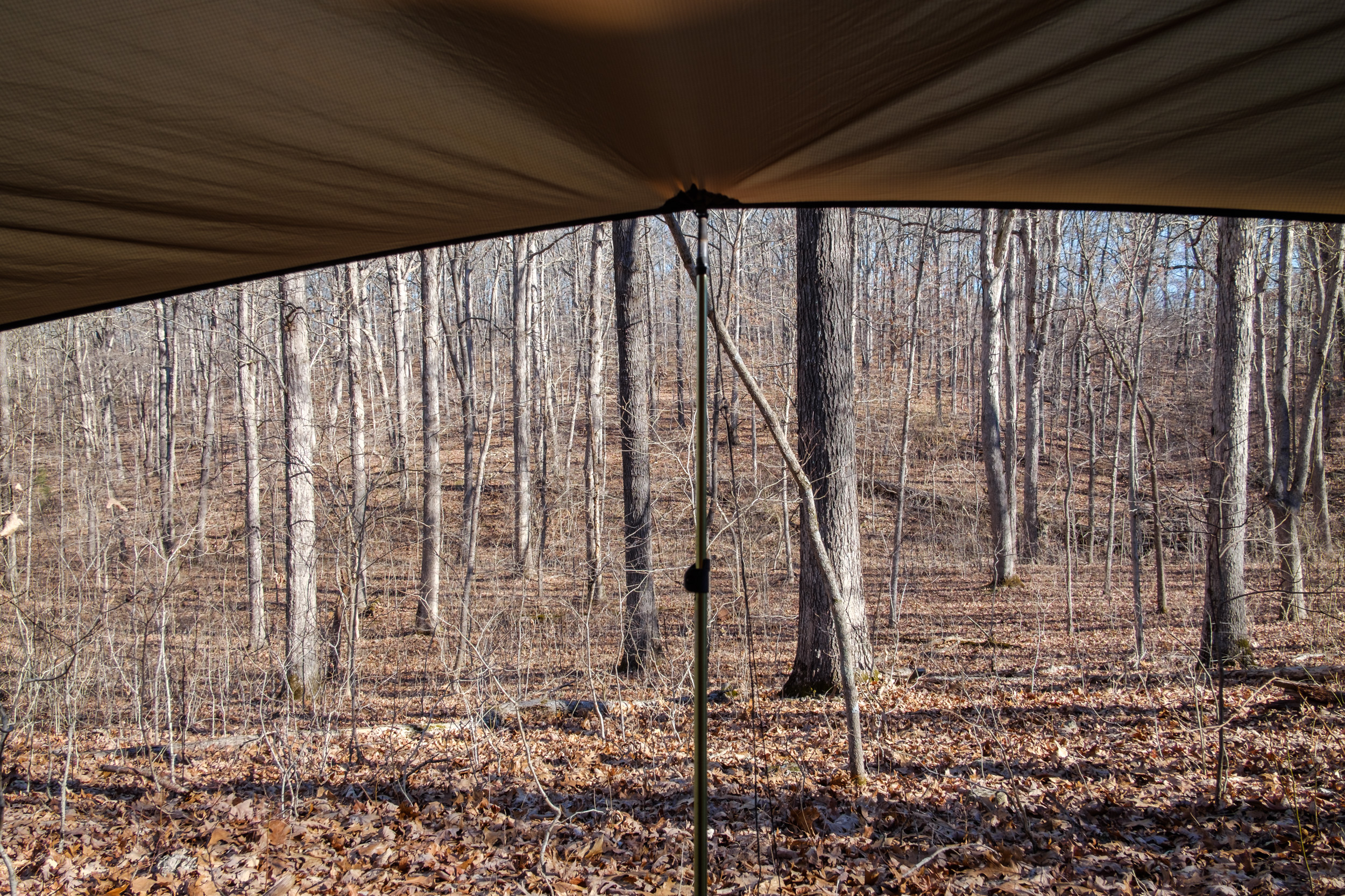 There ought to be a coyote in this picture ...