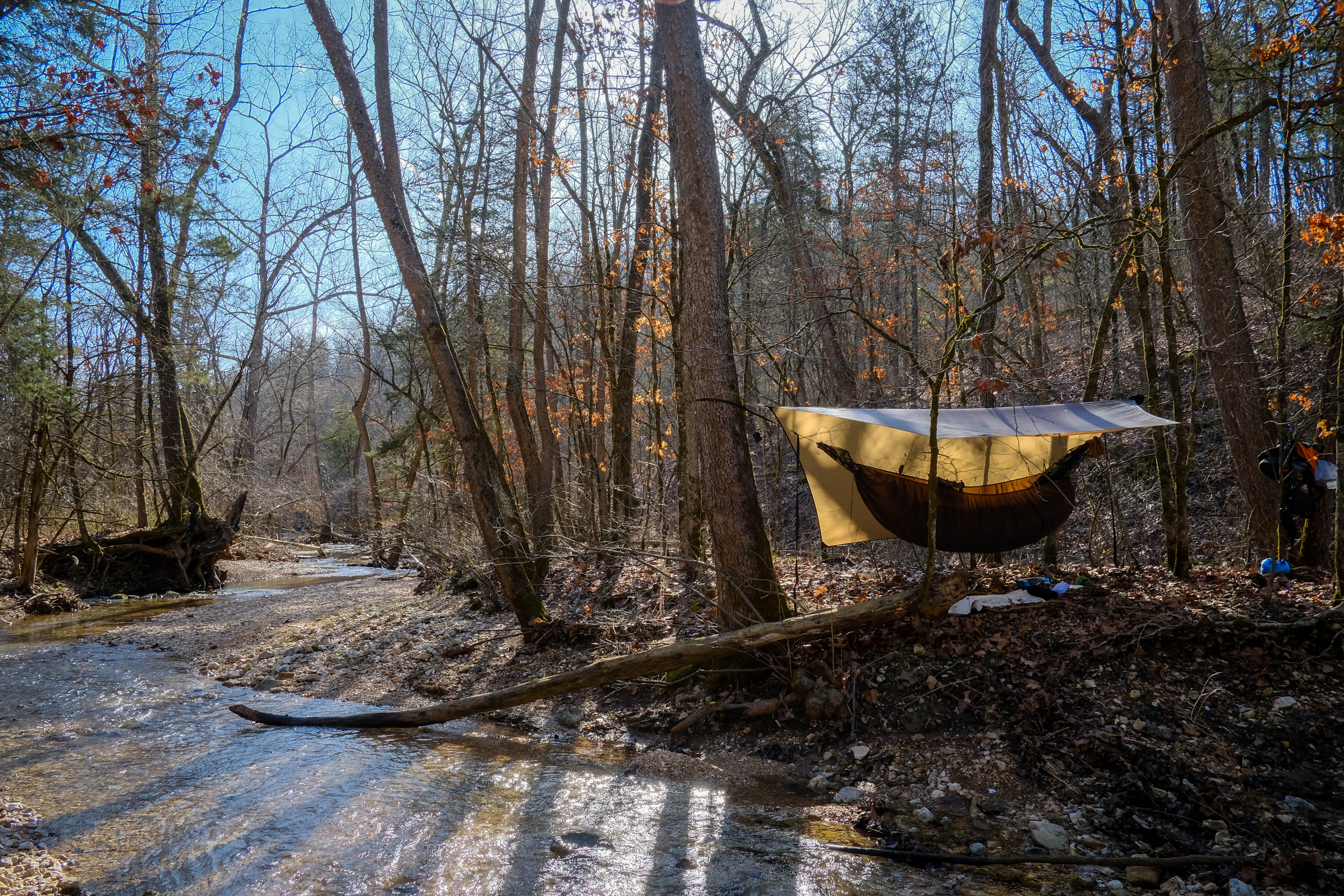 Checking off all my unhiked trails in Piney Creek Wilderness, Missouri. March 2021