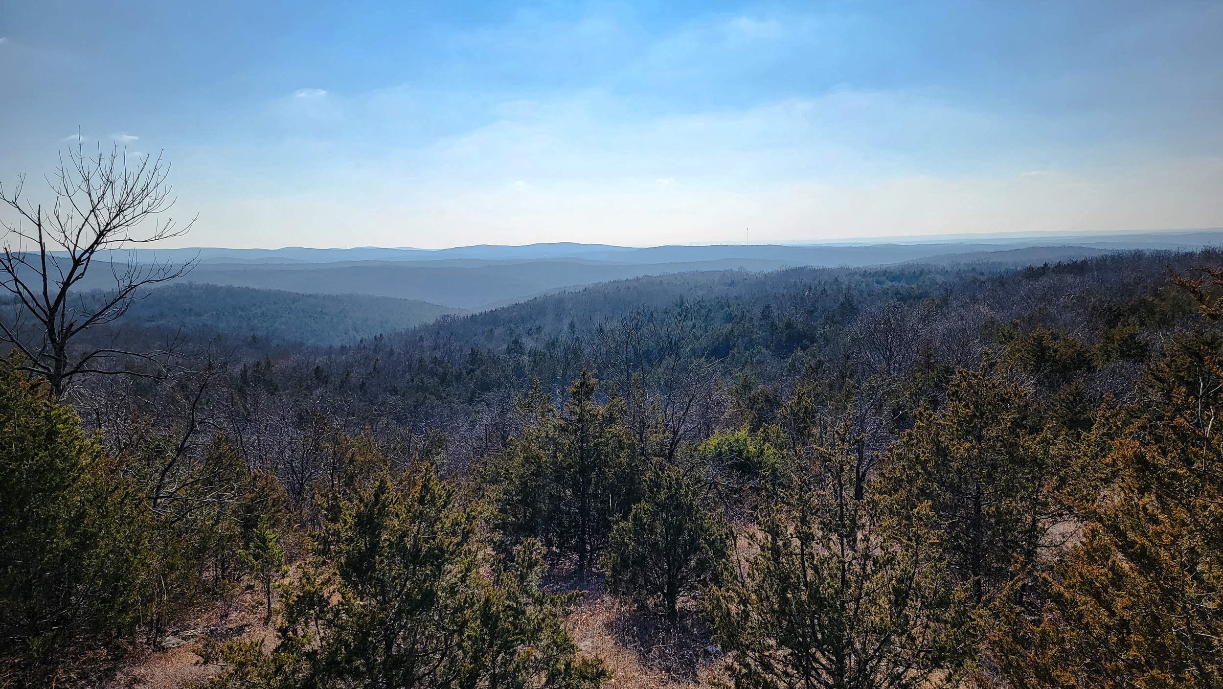 Three days solo backpacking in Hercules Glades Wilderness, January 2024